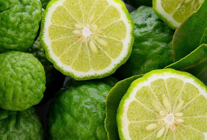 Bergamot
