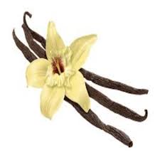 Vanilla Absolute
