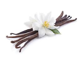 Vanilla Infusion